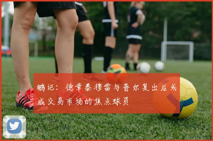 鹕记：德章泰穆雷与普尔复出后或成交易市场的焦点球员