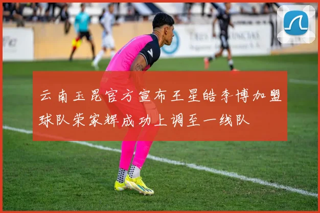 云南玉昆官方宣布王星皓李博加盟球队荣家辉成功上调至一线队