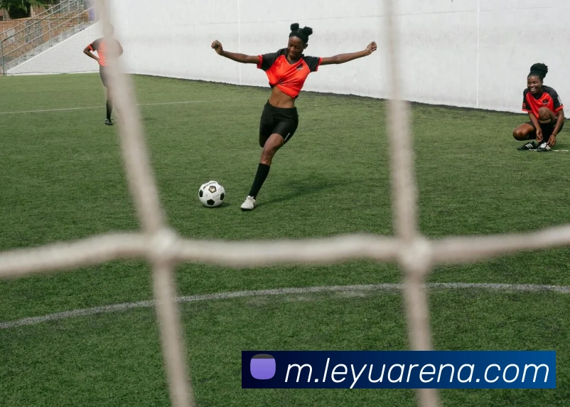 乐鱼体育APP 高清赛事图