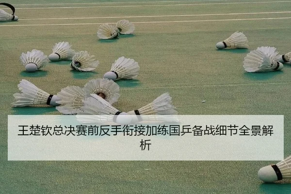 王楚钦总决赛前反手衔接加练国乒备战细节全景解析（Leyu）